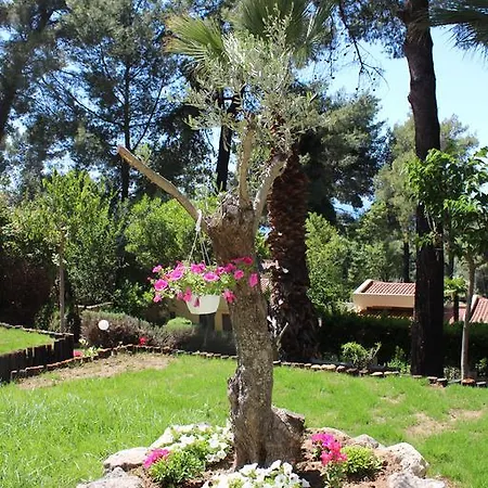 Holiday home Sani Xara *