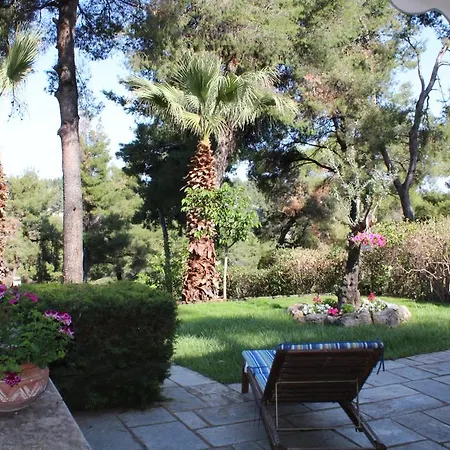 Sani Xara *